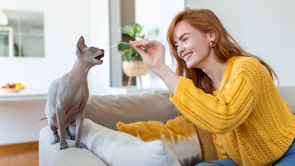 13 Creative Ways to Keep Your Indoor Cat Happy, Active, and Engaged