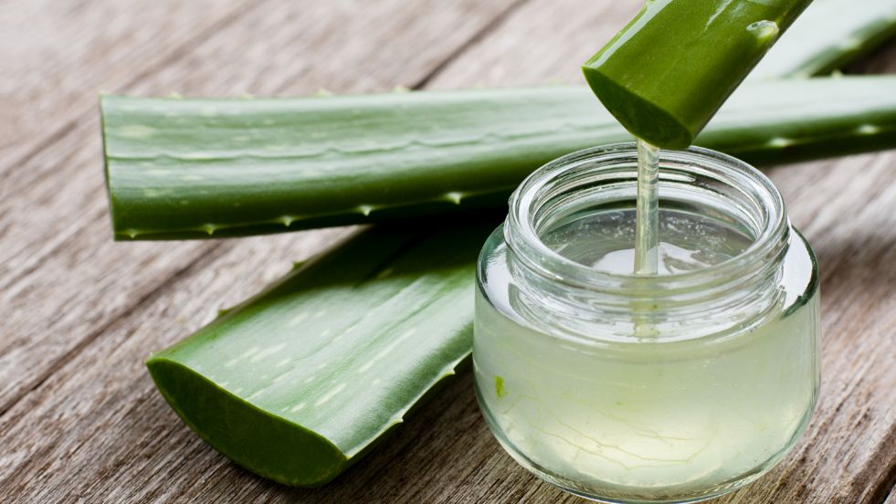 Aloe Vera