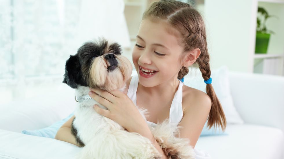 Best Family Dogs for Kids