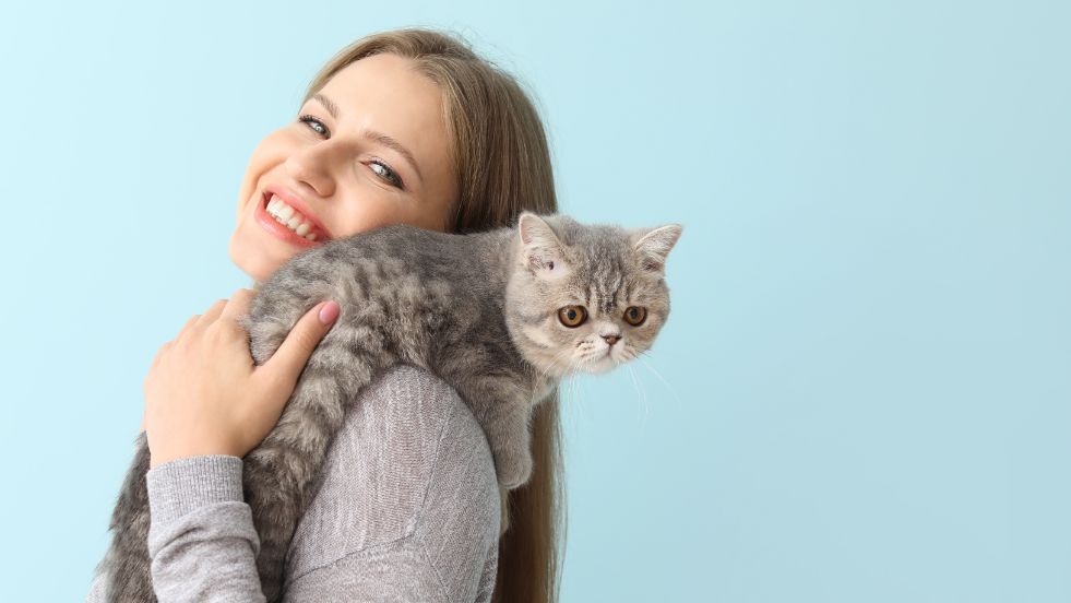 Celebrity Pun Cat Names