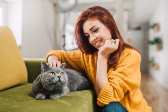 Cute Names for Persian Cats That Perfectly Match Their Royal Charm