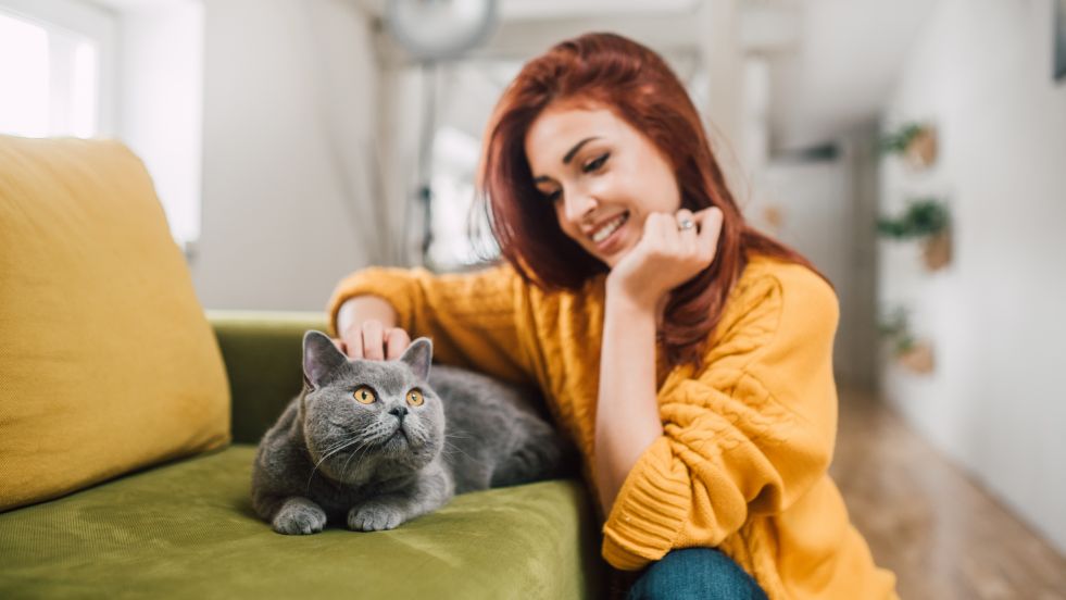 Cute Names for Persian Cats That Perfectly Match Their Royal Charm