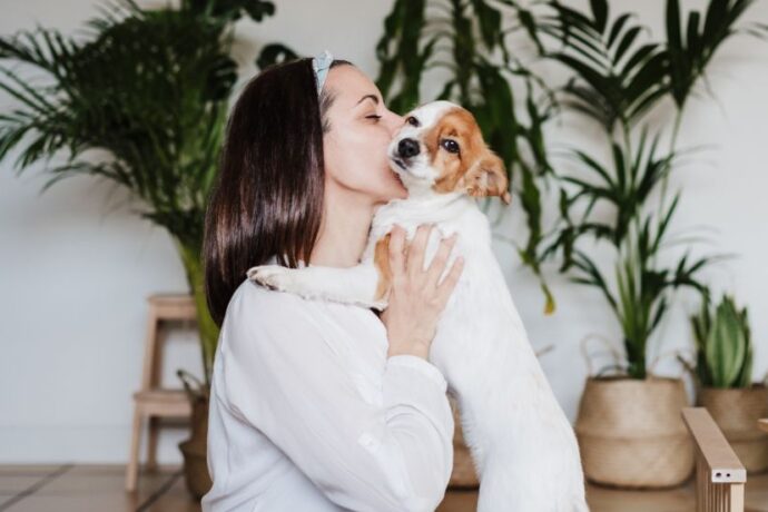 Do Dogs Really Know When You’re Sad