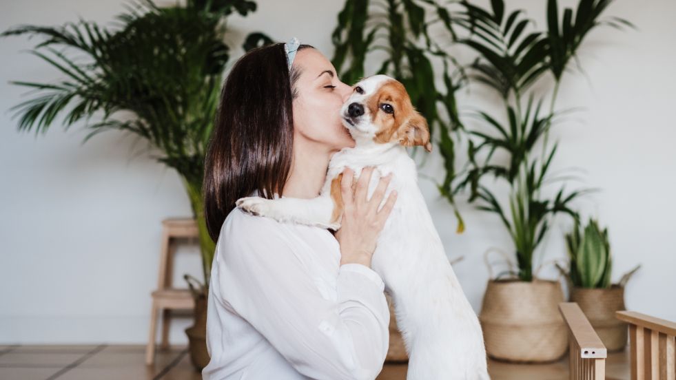 Do Dogs Really Know When You’re Sad