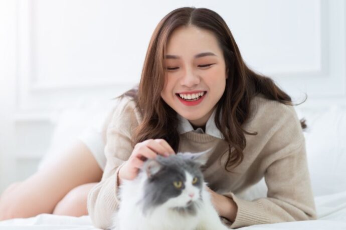 Exotic Cat Names from Around the World