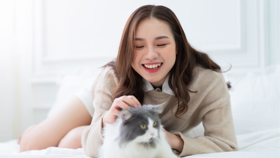 Exotic Cat Names from Around the World