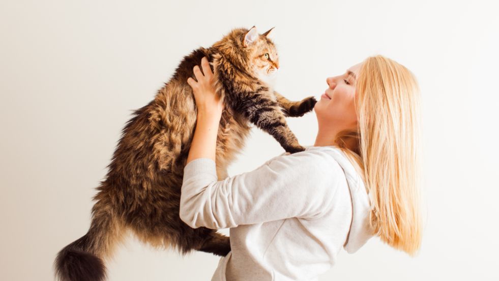 Fascinating Cat Facts You Probably Didn’t Know