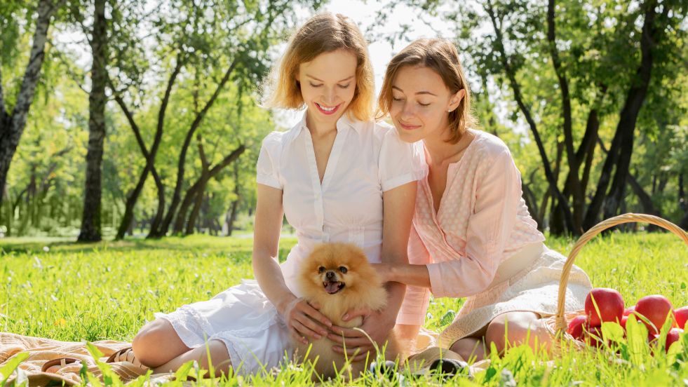 Food-Inspired Dog Names