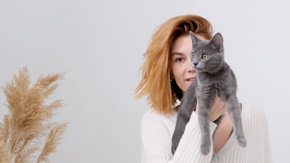 Instagram Aesthetic Cat Names