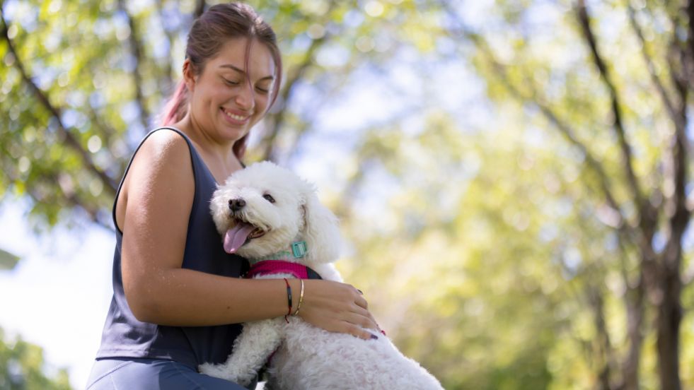 Low-Maintenance Dog Breeds for Busy People