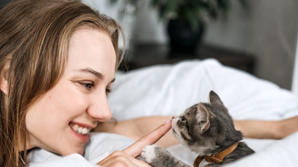 Minimalist & Chic Cat Names