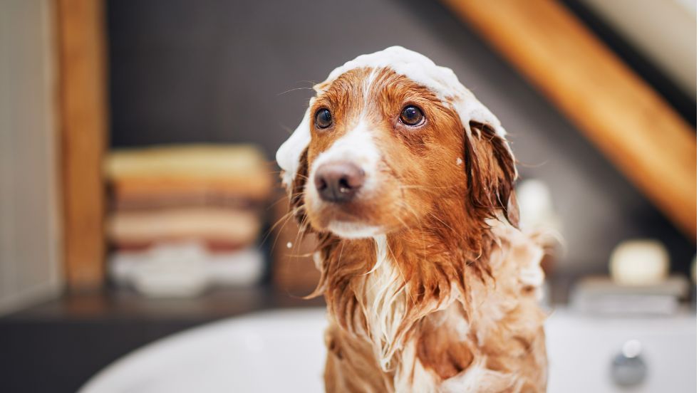 Oatmeal Bath