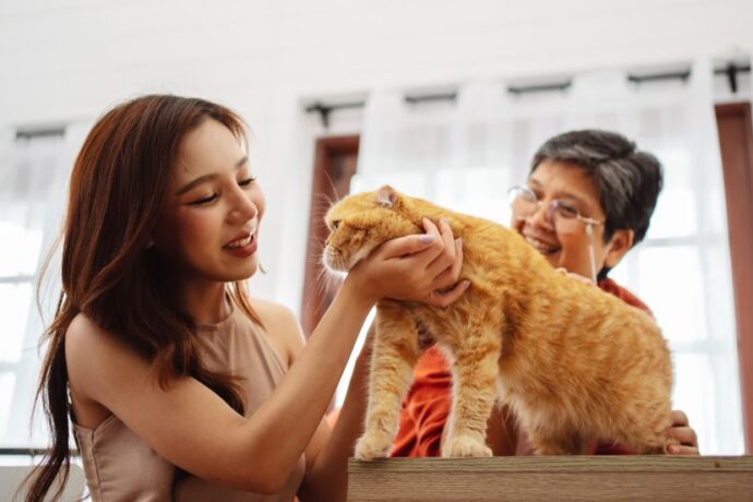 Proven Ways to Keep Indoor Cats Happy and Healthy