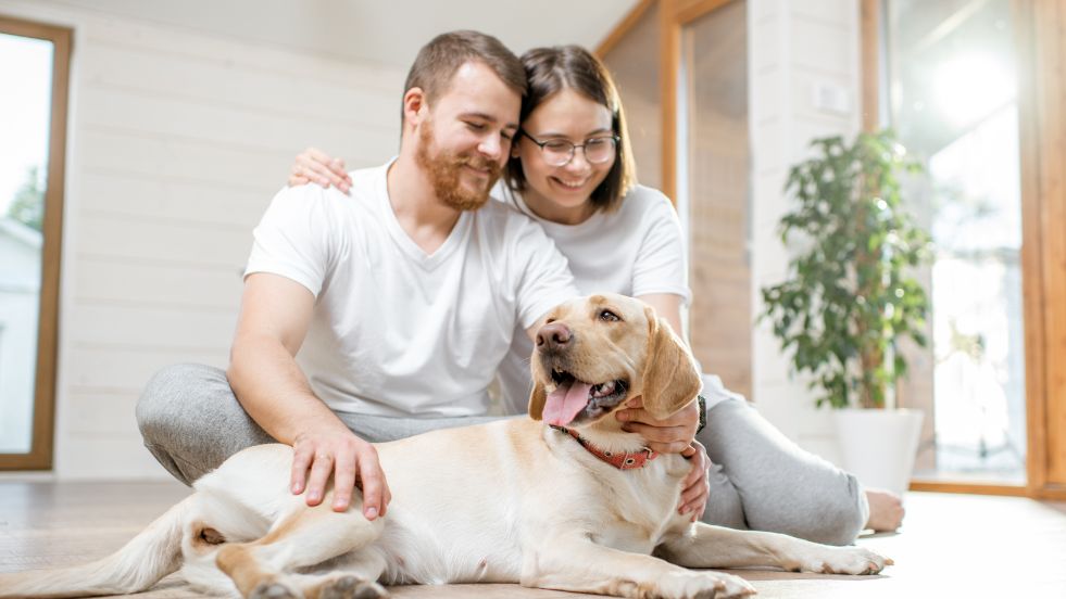 Surprising Dog Facts You Probably Didn’t Know