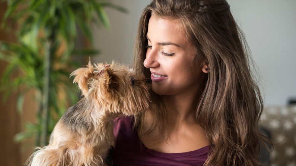 The Ultimate Puppy Training Schedule Every Dog Owner Should Follow