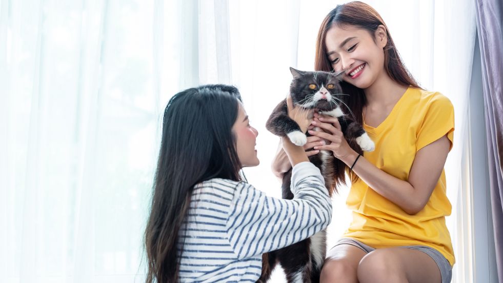 Vintage Cat Names Making a Comeback