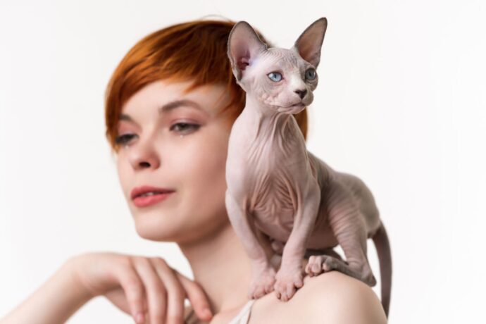 Why Cats Always Know When You’re Sad